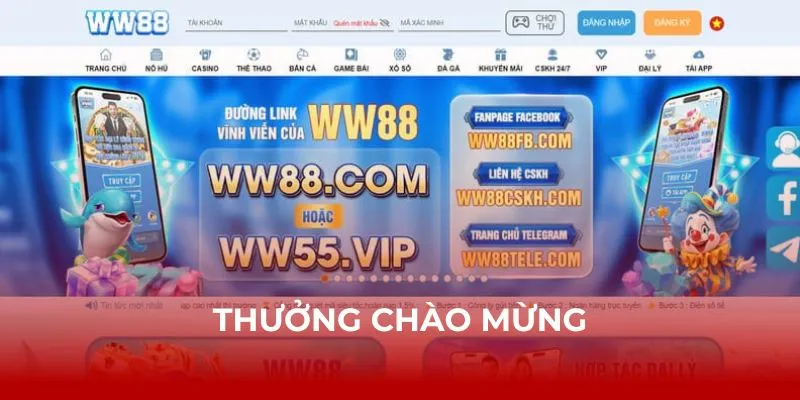 Nhận ưu đãi liên tục từ website